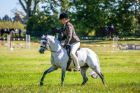 _AJG5293