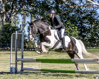 Showjumping