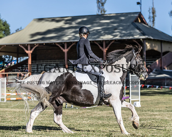 MKG_9546