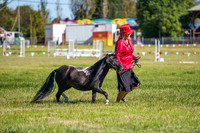_AJG5060