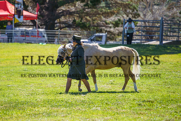 _AJG5413