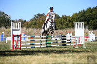 Showjumping