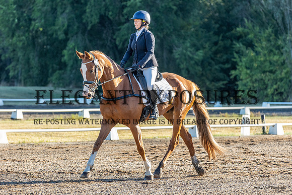 MHP_0255