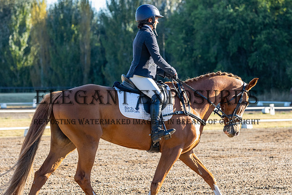 MHP_0284