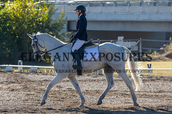 MHP_0478