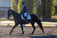 MHP_0081-2