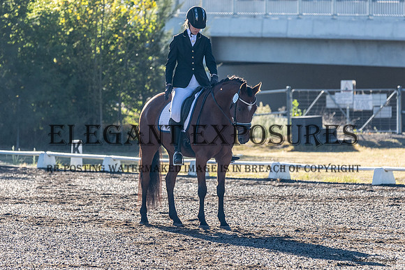 MHP_0247