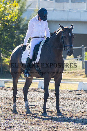 MHP_0456