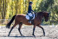 MHP_1463