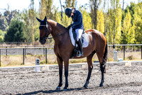 MHP_1485