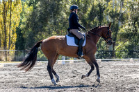 MHP_1503