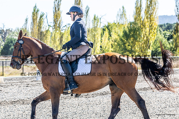 MHP_1514