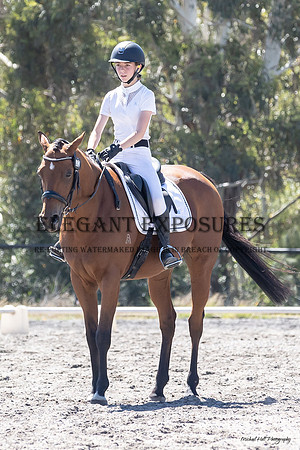 MHP_2017