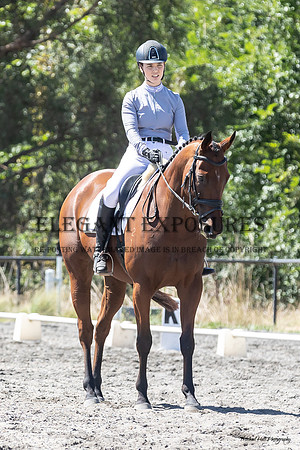 MHP_2012