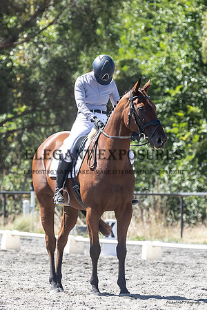 MHP_2013-2