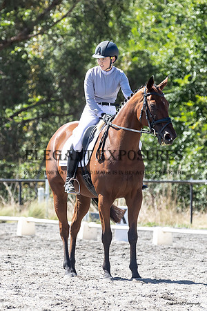 MHP_2015