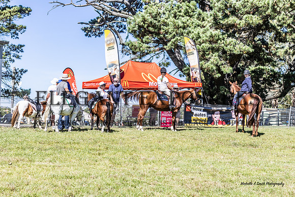 MAS-0854