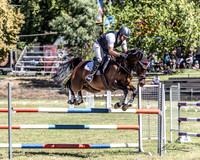 Showjumping