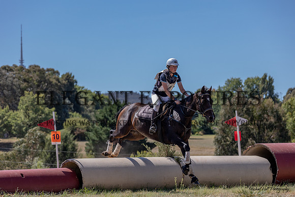 MHP_2079