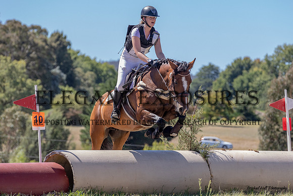 MHP_2175