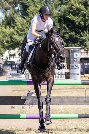 MHP_3769