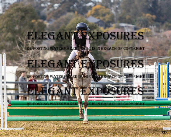 ZJD-8193