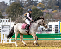 ZJD-8199