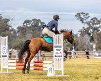 ZJD-8235