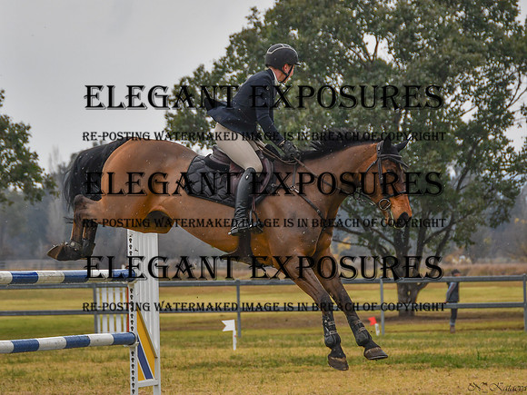 NYK_8289
