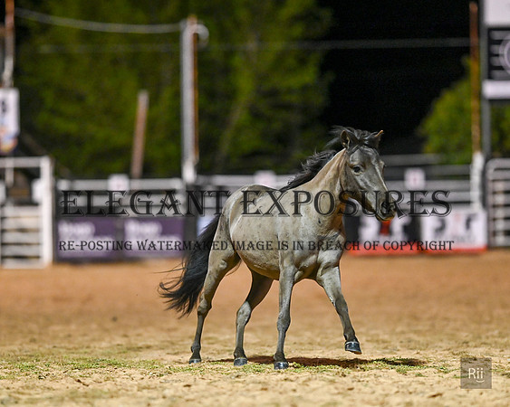 R11_0198