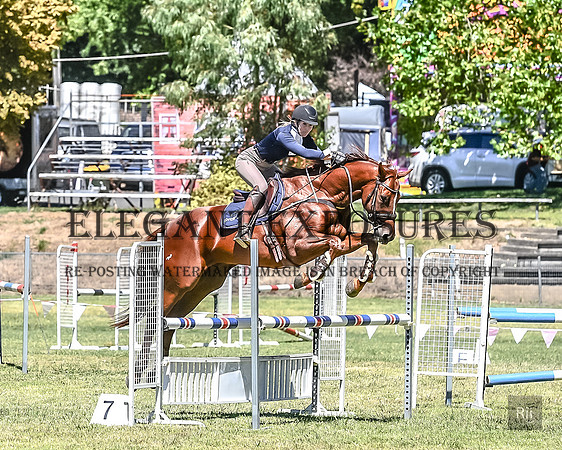 RII_0700
