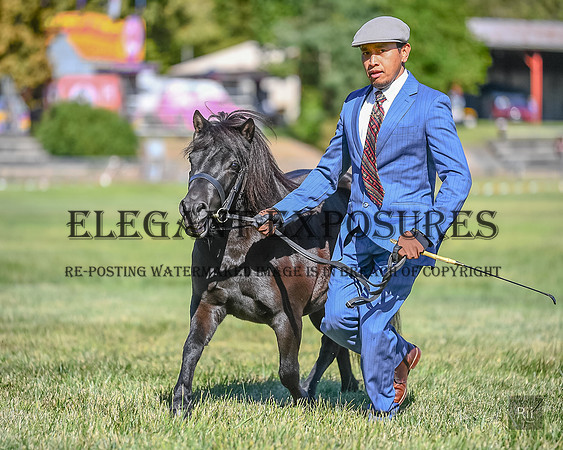 RII_0049