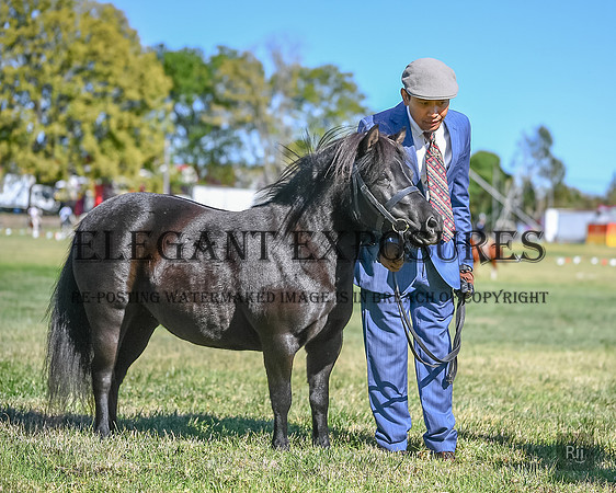 RII_0055
