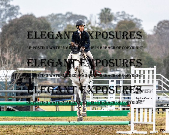 ZJD-9658