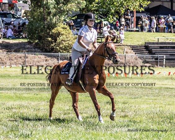 MAS-0226