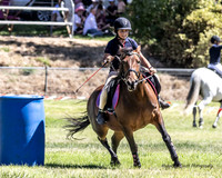 MAS-0242