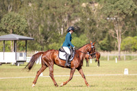 OLS_1062