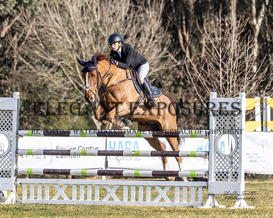 MASX1201