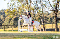 W/SJ - Friday - Ring 3 - Class 9 - 60cm - 14.8.2026
