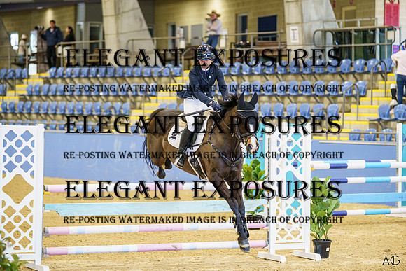 _AJG1174