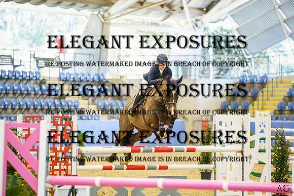 _AJG1852