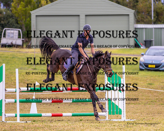 KMS-7037