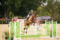 W/SJ - Saturday - Ring 1 - Class 16 - 1.35m - 15.8.2026