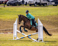 BRC- SJ- 45cm 15-08-2026