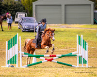 BRC-Clear Round Jumping- 15.08.2026