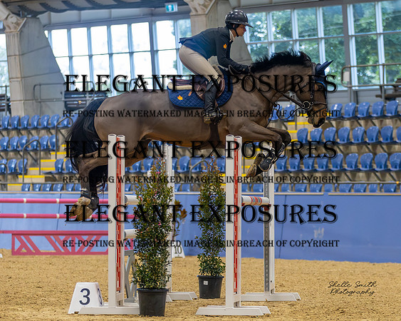 MASX6671