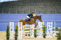 W/SJ - Sunday - Ring 2 - Class 36 - 1.10m YH - 16.8.2026