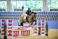 W/SJ - Sunday - Ring 2 - Class 38 - 1.15m - 16.8.2026