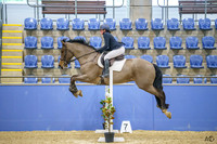 _AJG4473
