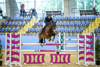 _AJG4685